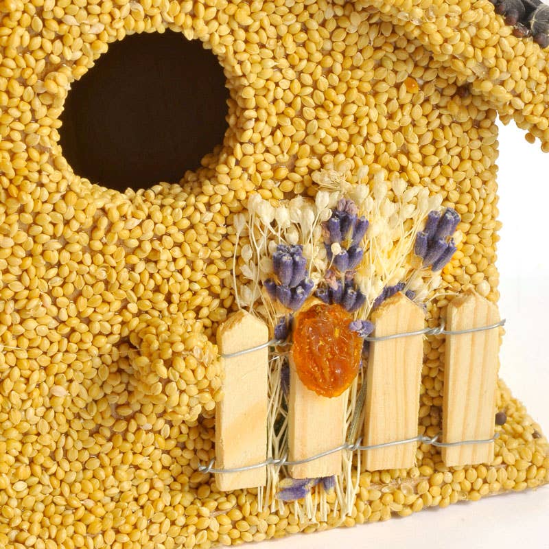 Birdie Cottage | Bird Seed Feeder
