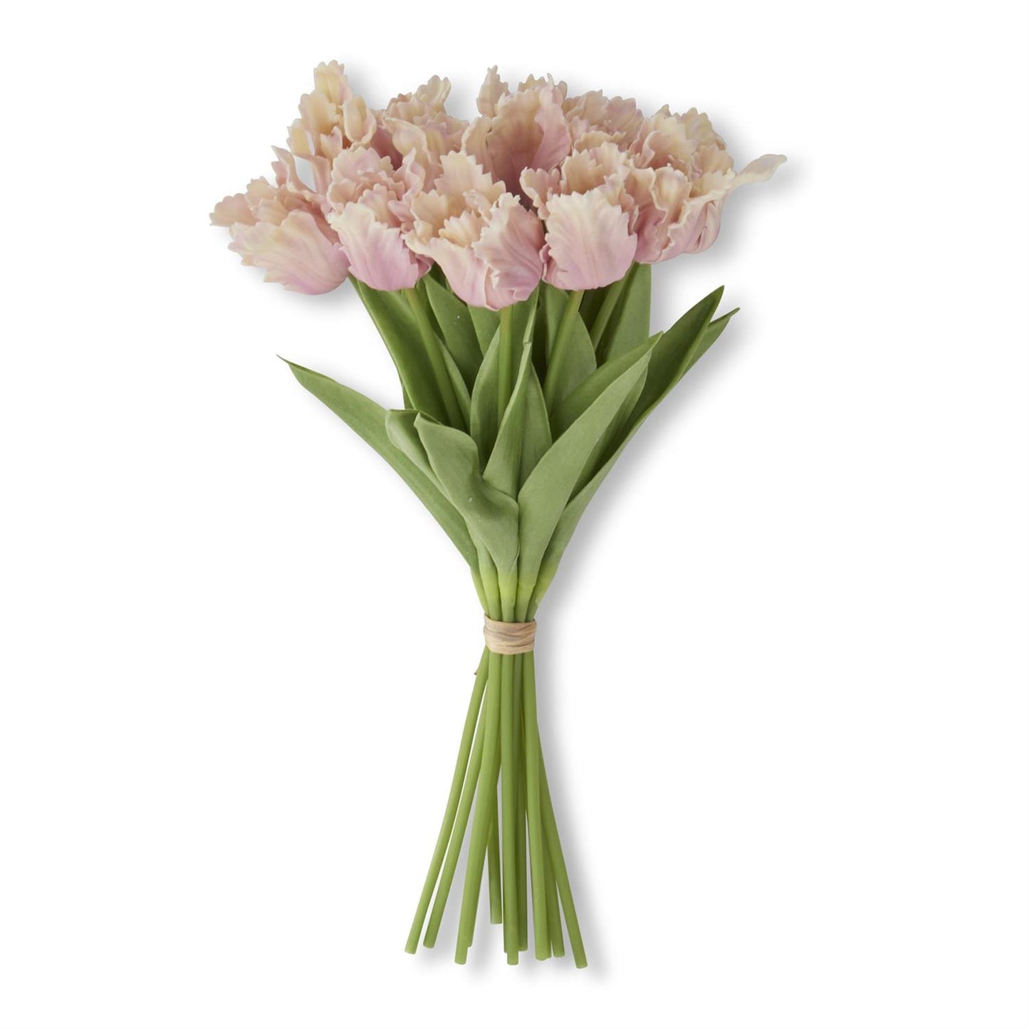 Pink & Cream Real Touch Parrot Tulip Bundle |13"