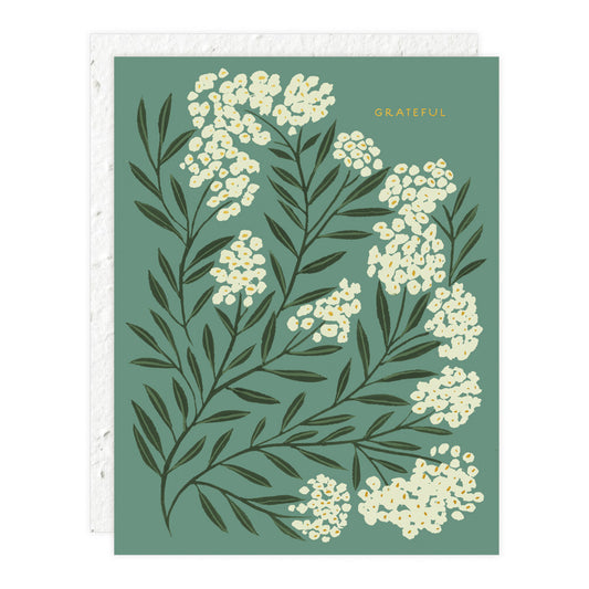 Seedlings Grateful | Thank You Card