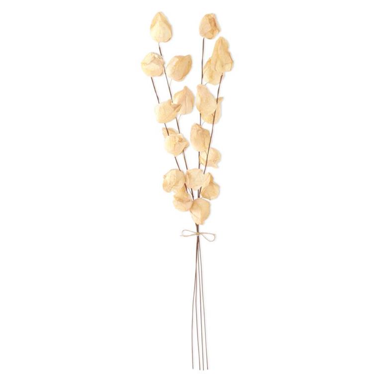 28.5" Cream Chinese Lantern Bundle