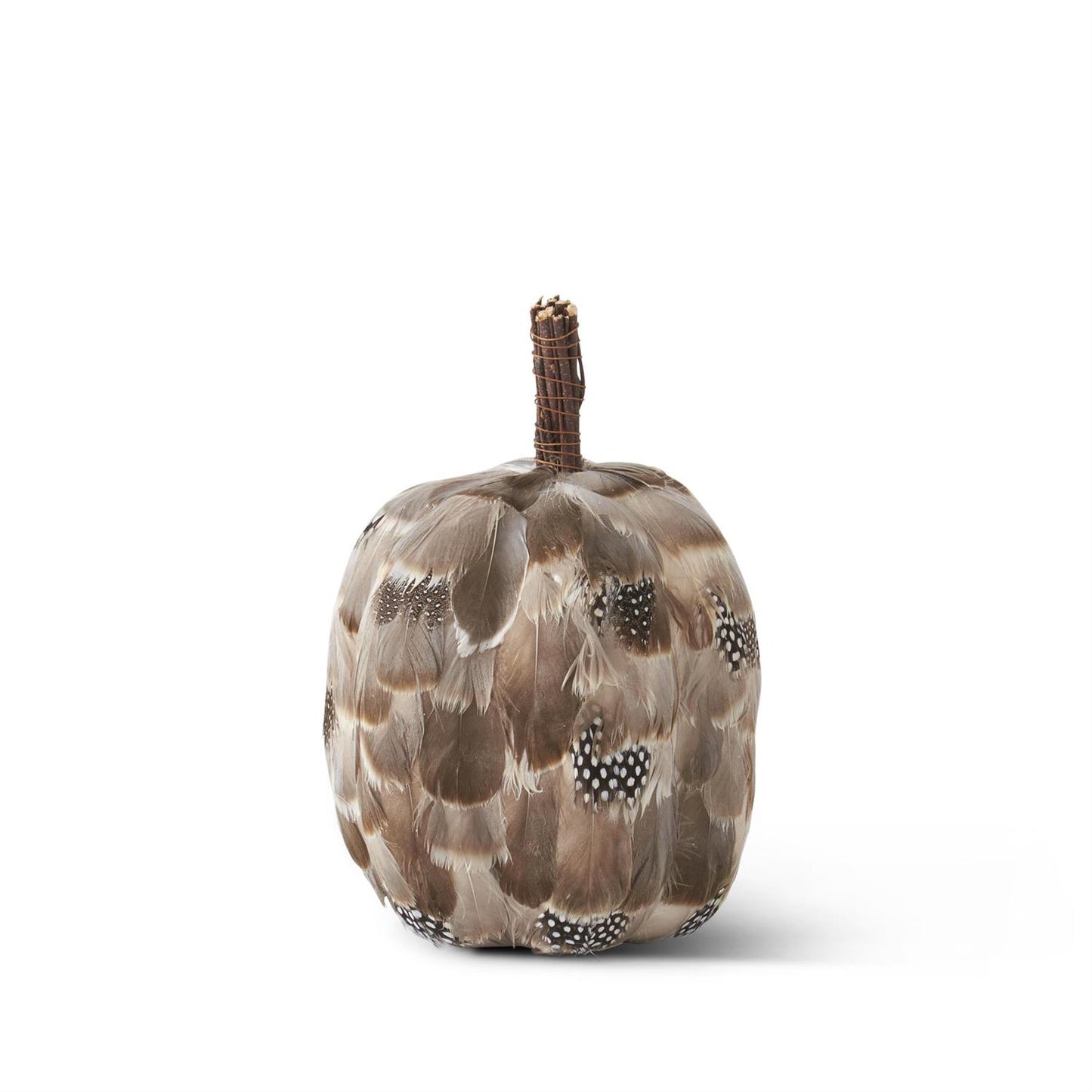 Gray Brown Speckled Feather Pumpkin