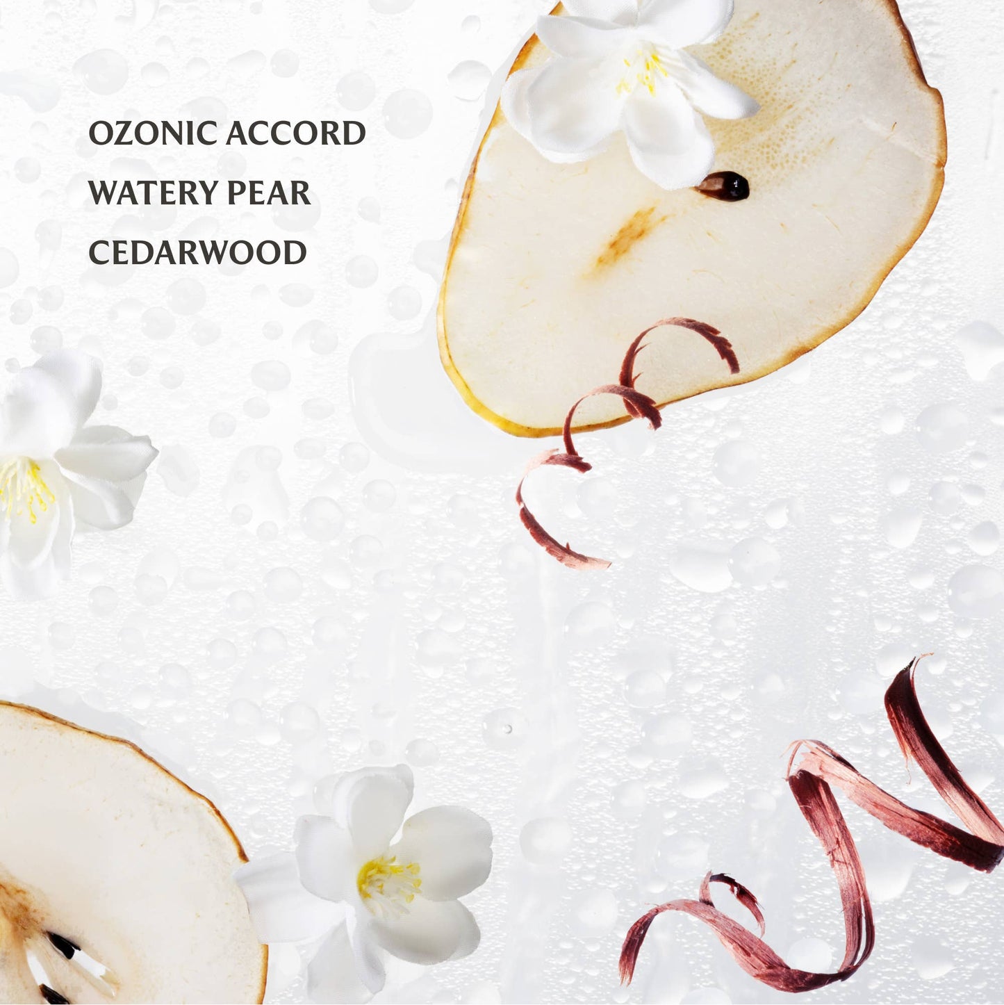 Touchland Rainwater Hand Sanitizer