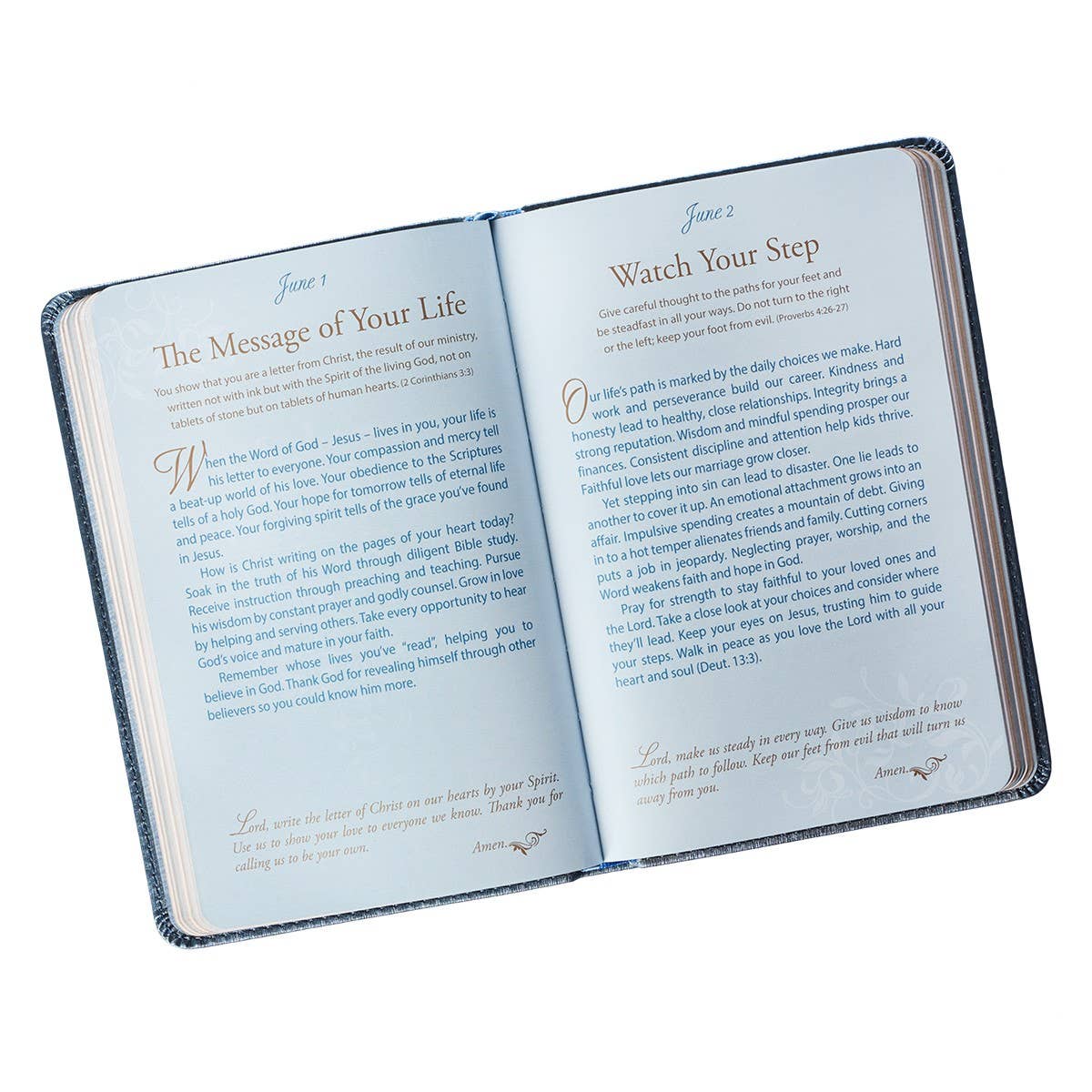 Mr. & Mrs. 366 Devotions for Couples | Blue