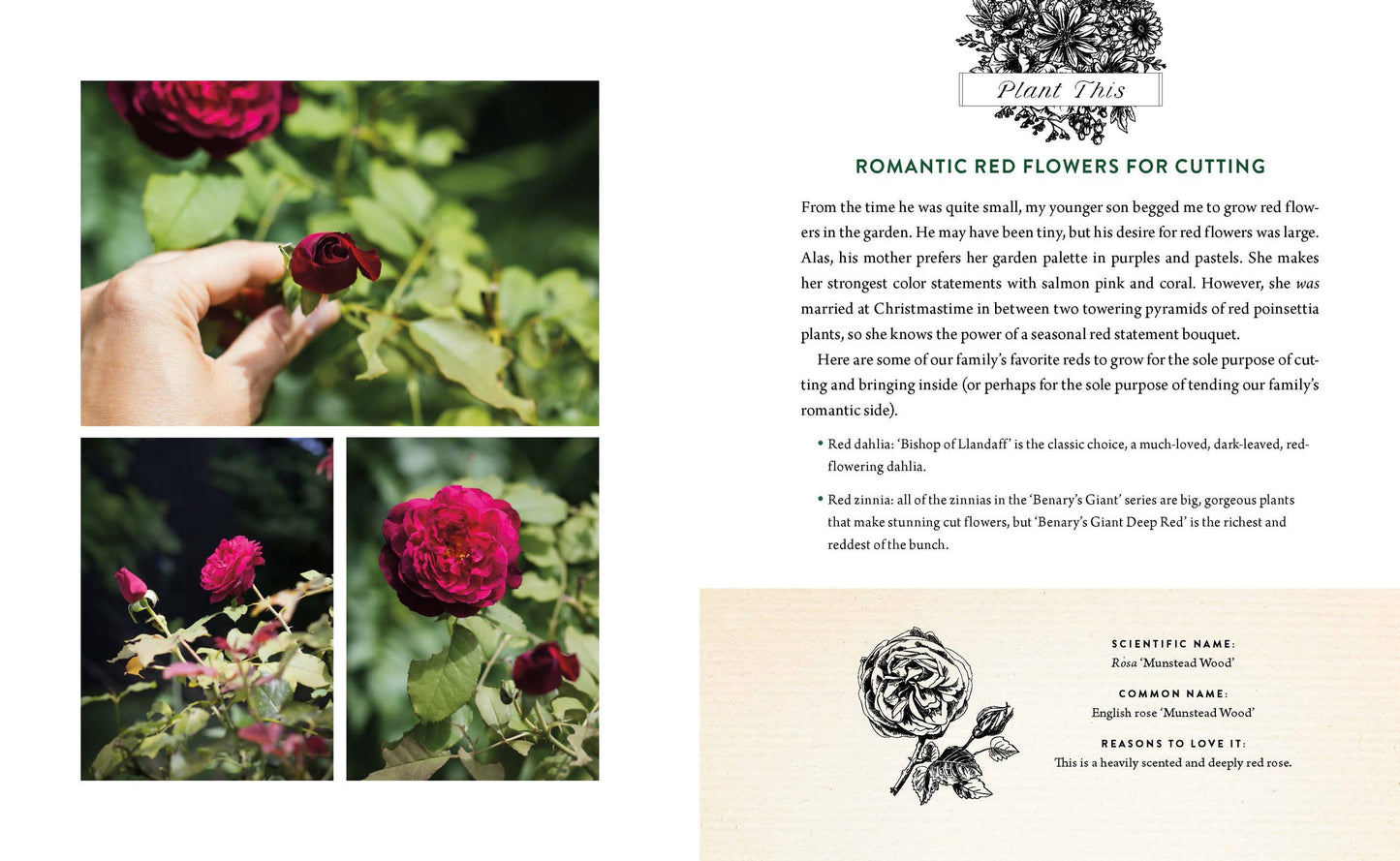 A Home in Bloom | Hardcover