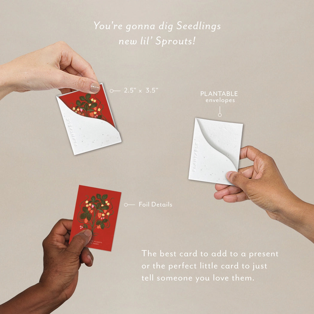Mini Greeting Cards