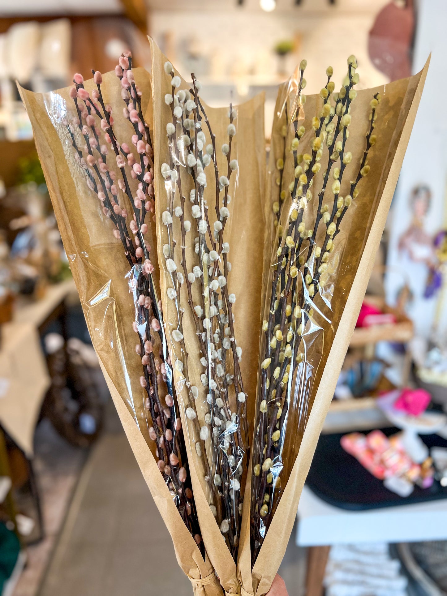 Dried Willow Bunch | Natural