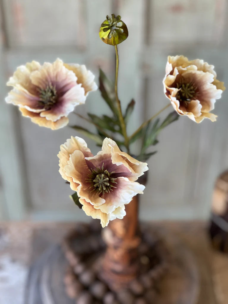 Dawning Poppy Floral Stem | 26.5"