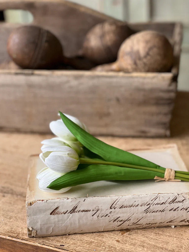 Poppet Tulip Bundle | Creamy White