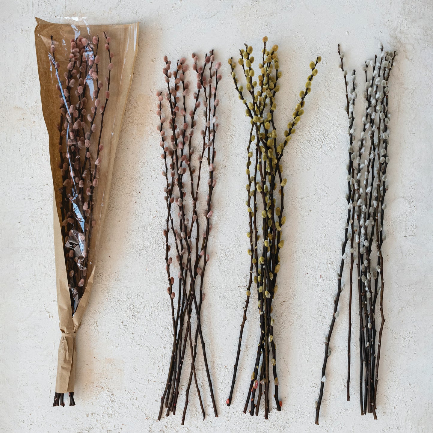 Dried Willow Bunch | Natural
