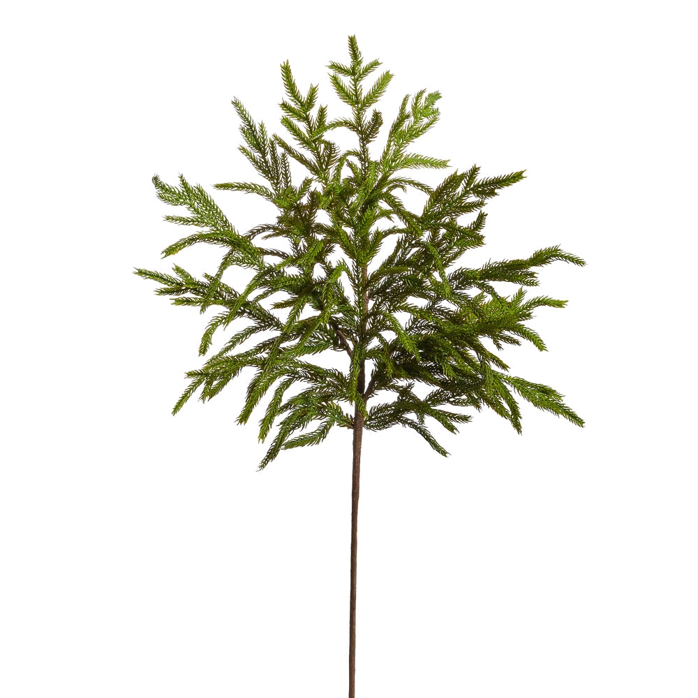 Norfolk Pine Spray | 33"