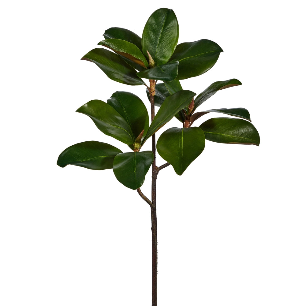 Magnolia Leaf Branch | 24"