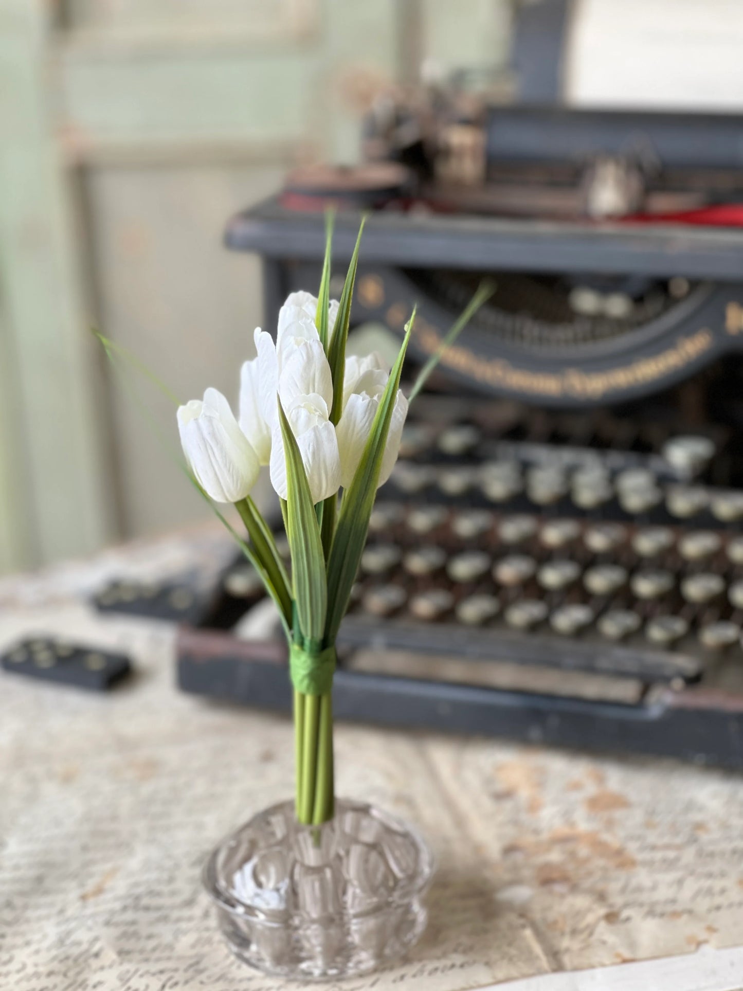 Teeny Tiny Tulip Bundle | 7"