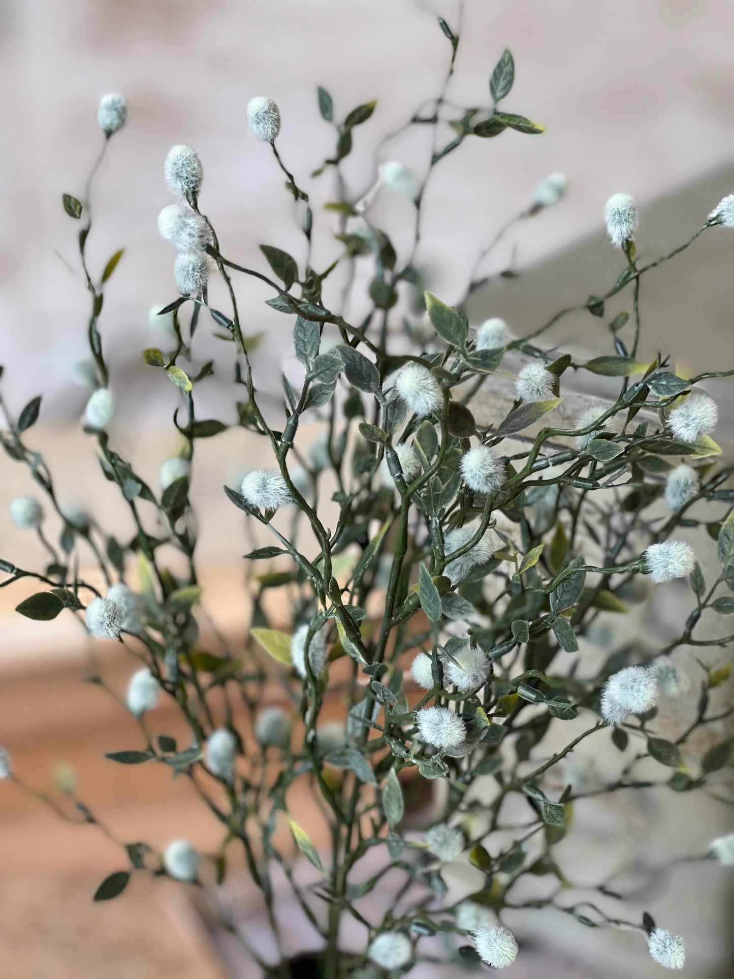 Cloud Branching Stems Bundle
