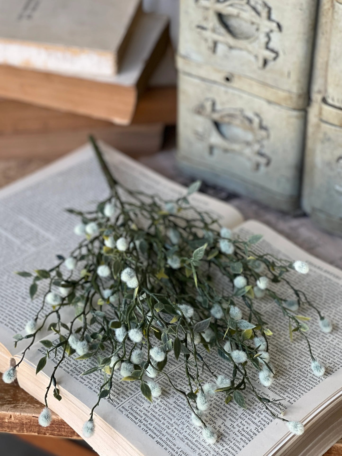 Cloud Branching Stems Bundle