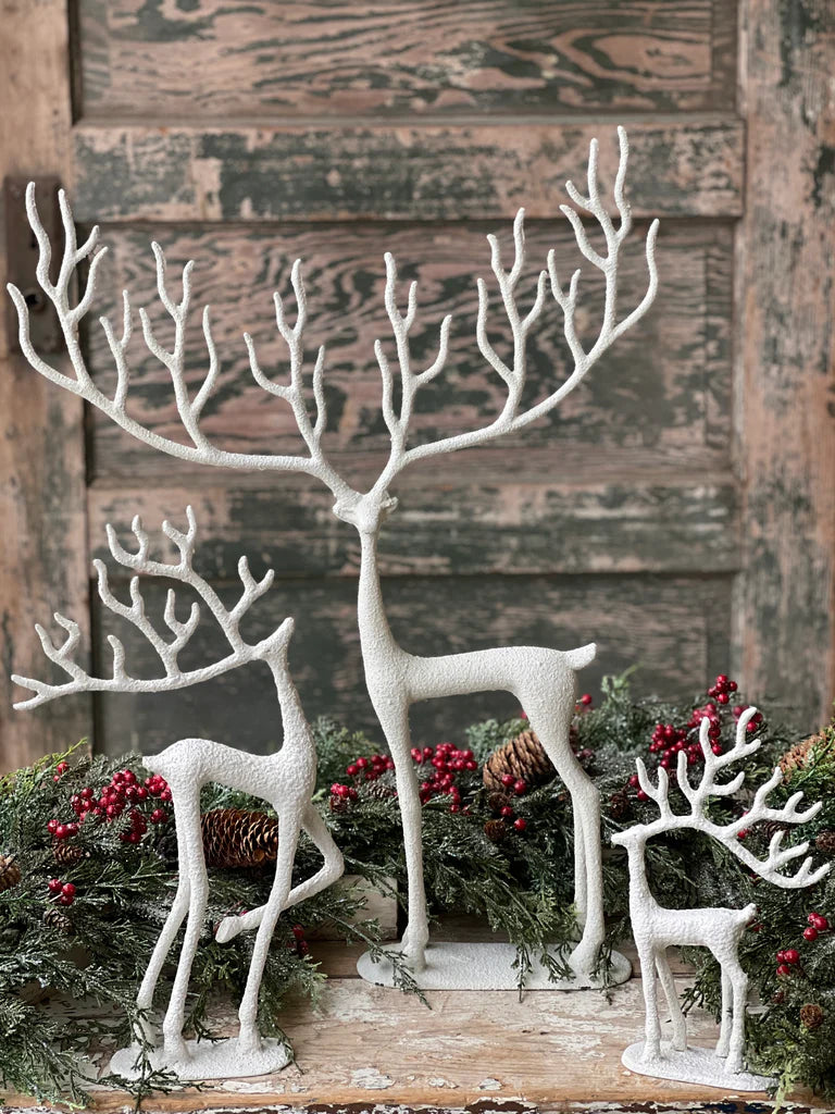 Illustrous Caribou