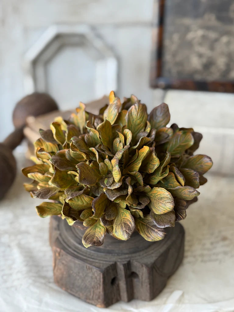 Sepia Groves Half Sphere | 7.5"