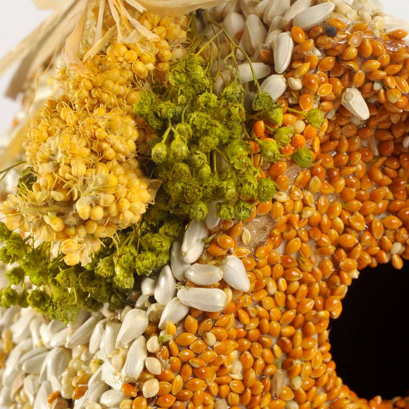 Birdie Cottage | Bird Seed Feeder