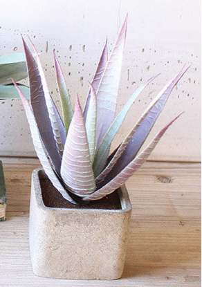 Artificial succulent in square pot