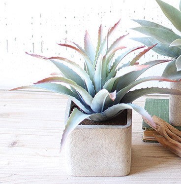 Artificial succulent in square pot