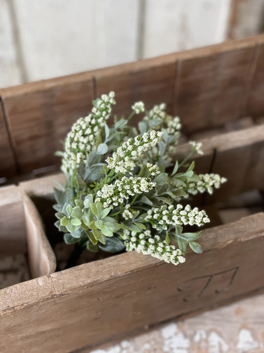 Sweetspire Bush | 12"