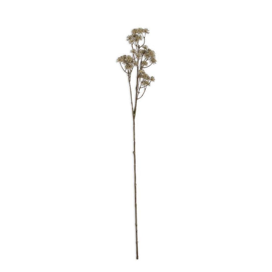Natural Aralia Stem | 33"