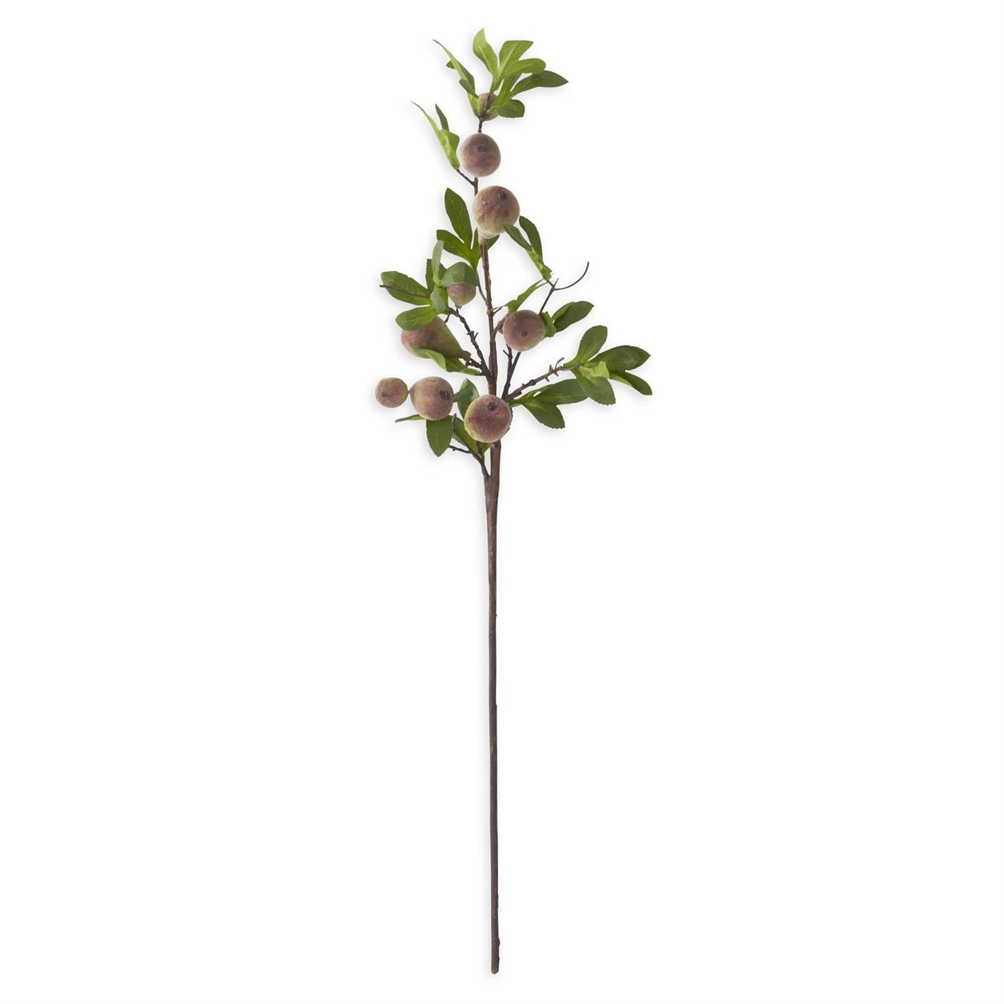 Flocked Fig Stem | 35"
