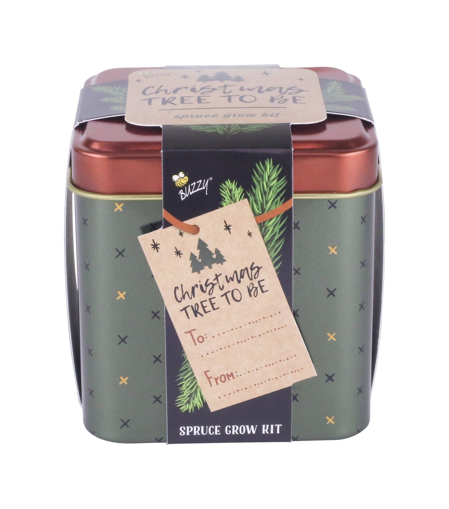 Holiday Square Tin | Spruce