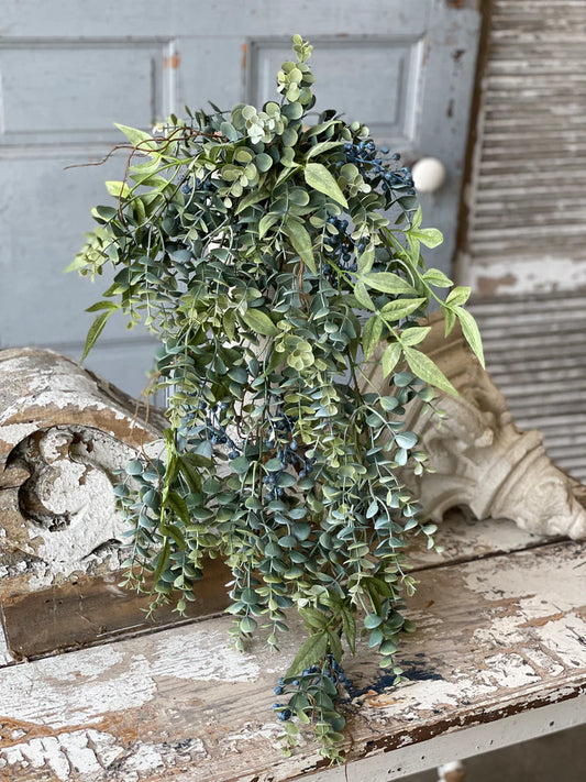 Lapis Hills Eucalyptus Hanging | 31"