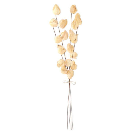 28.5" Cream Chinese Lantern Bundle