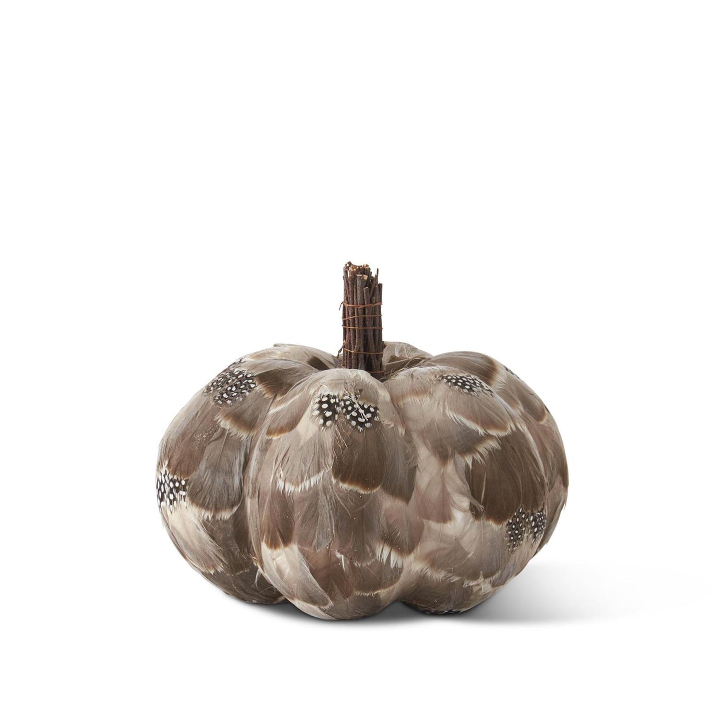 Gray Brown Speckled Feather Pumpkin