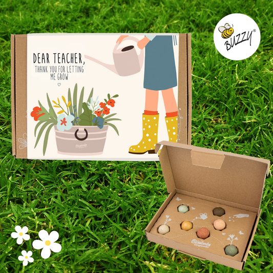 Dear Teacher, Blossombs Small Box | 7 Seed Bomb Balls