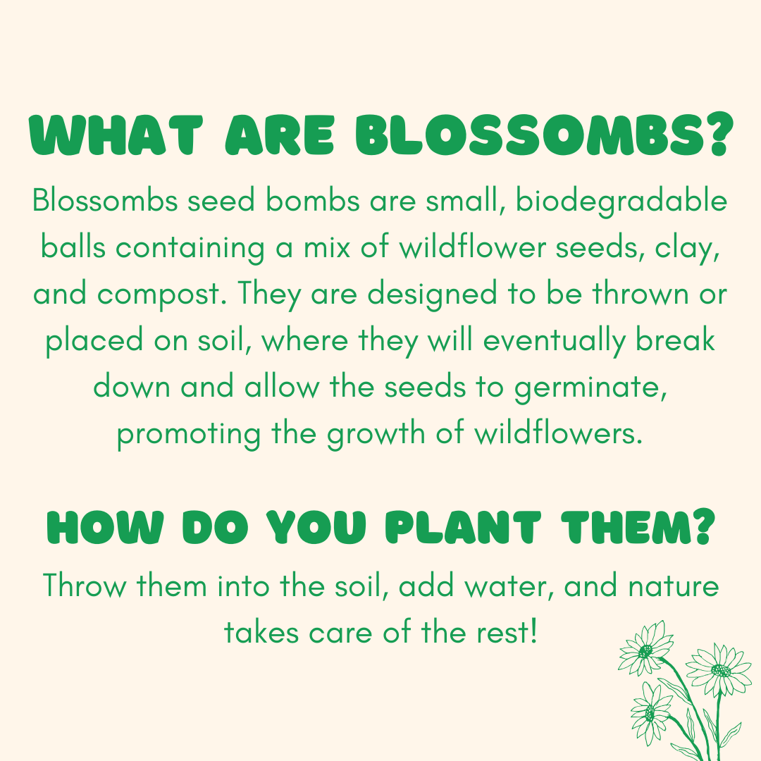 Dear Teacher, Blossombs Small Box | 7 Seed Bomb Balls