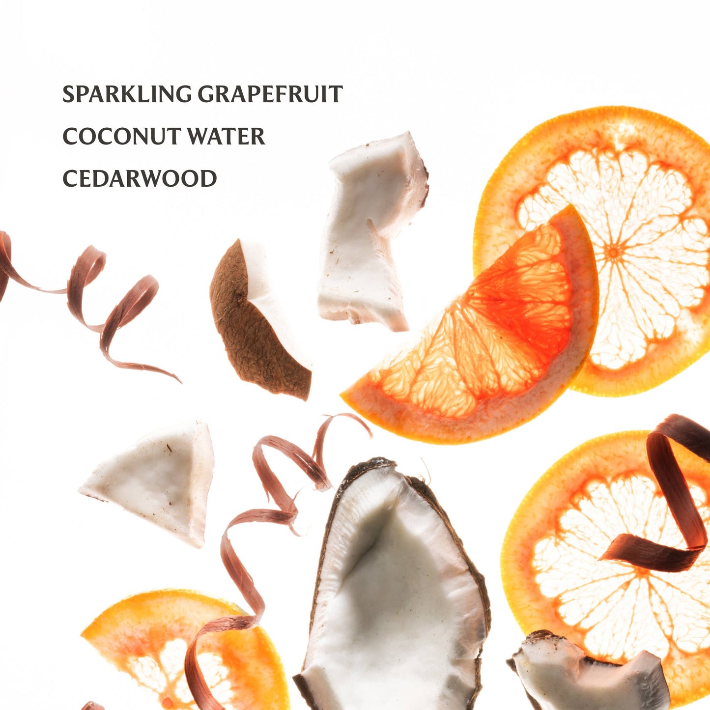 Touchland Beach Coco Hand Sanitizer