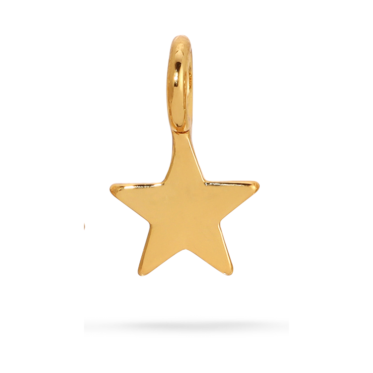 Charm Garden Star Charm | Gold