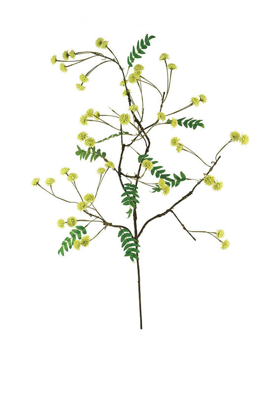Green Leaves Branch