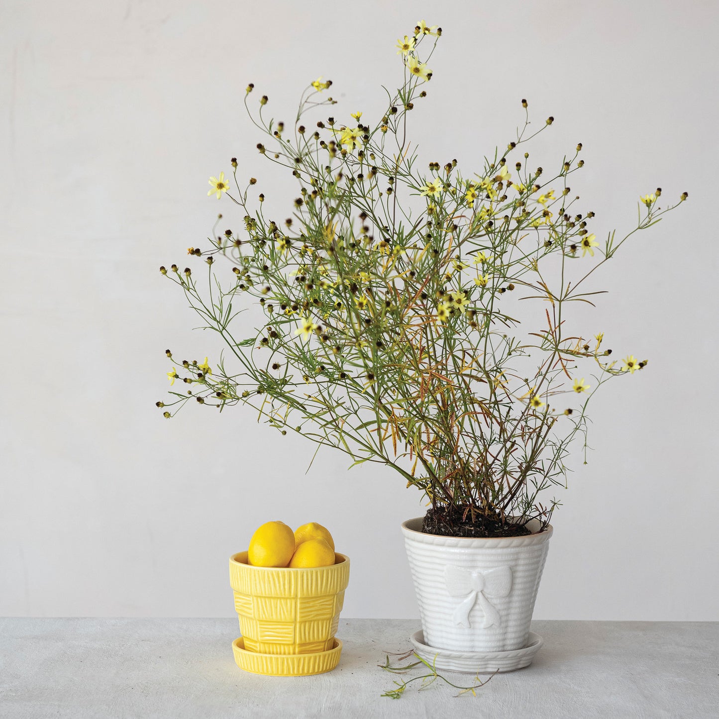Ribbed Bow Planter & Saucer Set