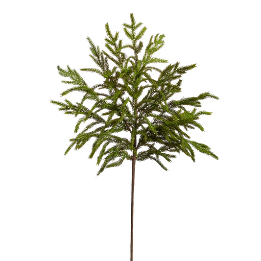 Norfolk Pine Spray | 33"