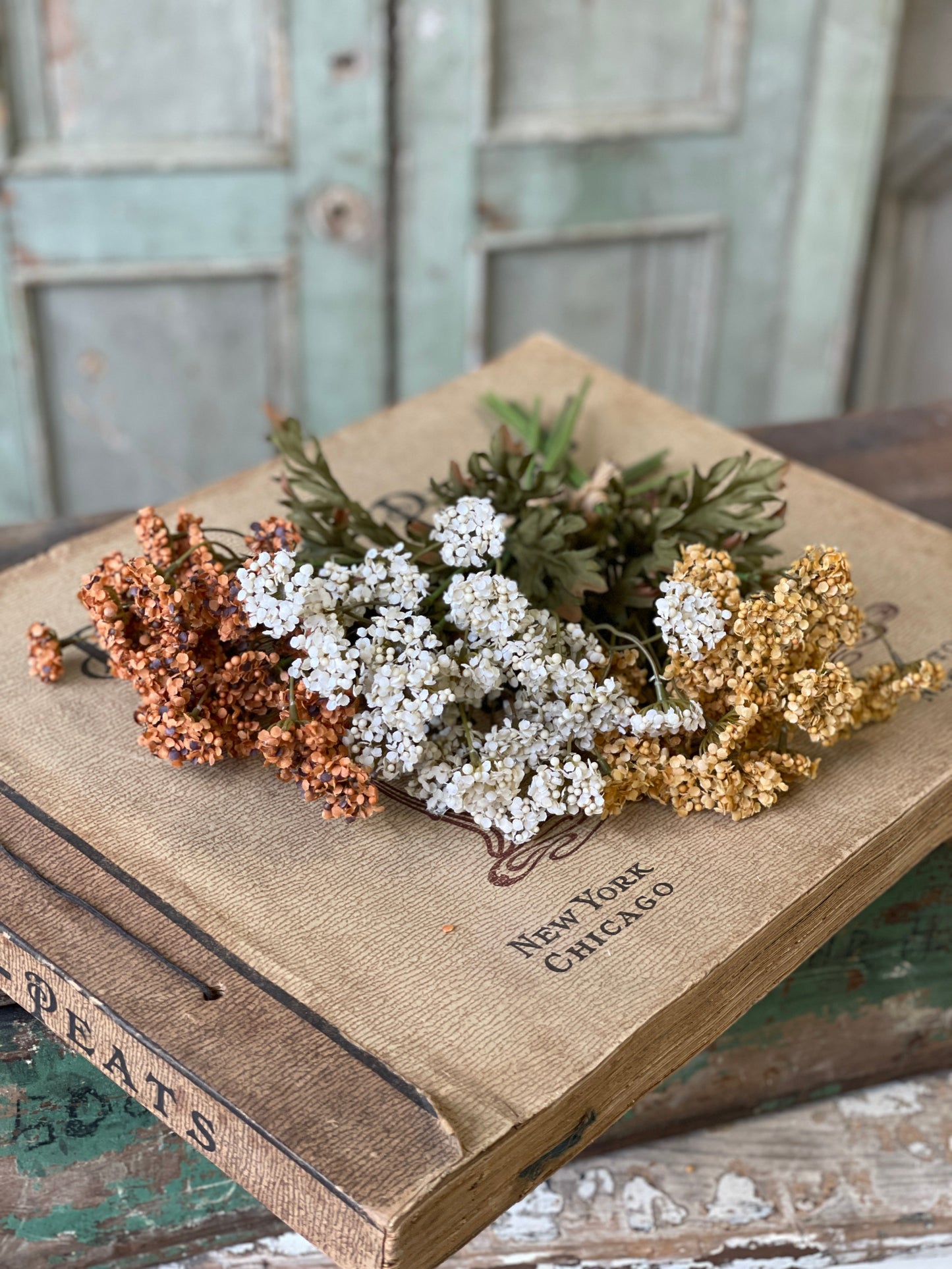 Fennel Flower Bundle