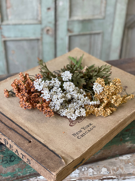 Fennel Flower Bundle