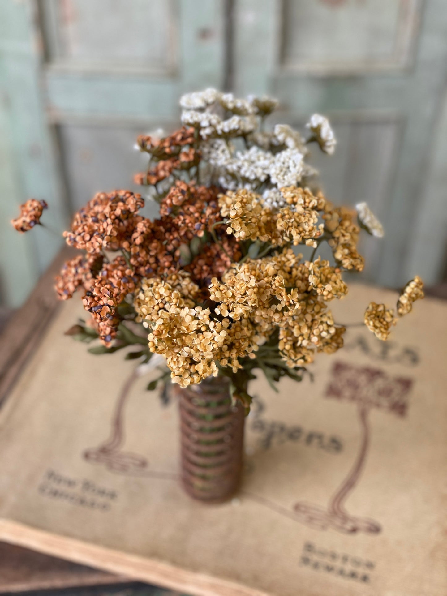 Fennel Flower Bundle