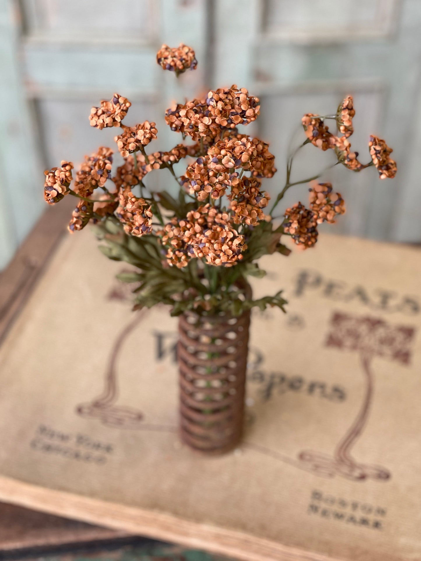Fennel Flower Bundle