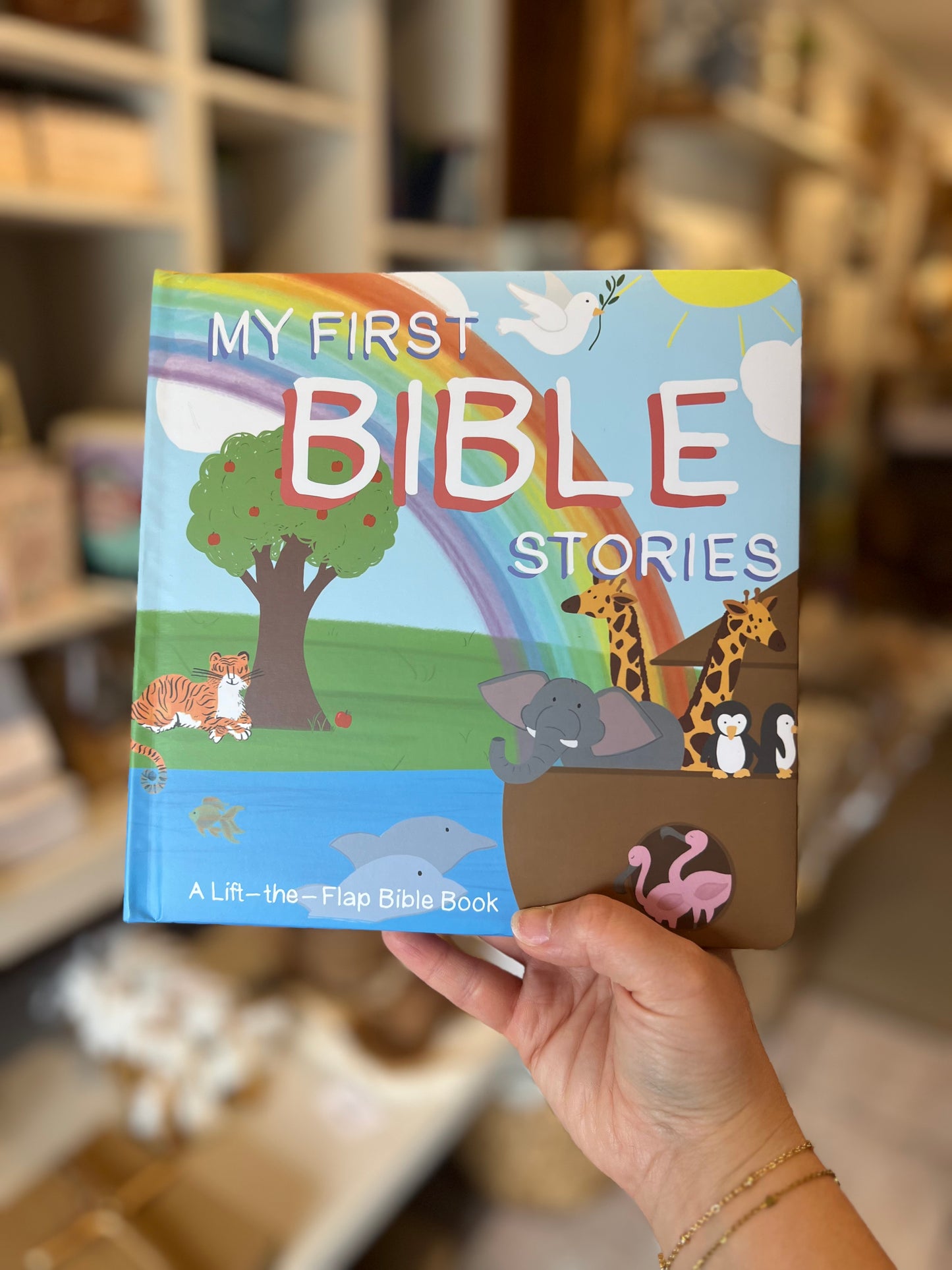 My First Bible Stories Book