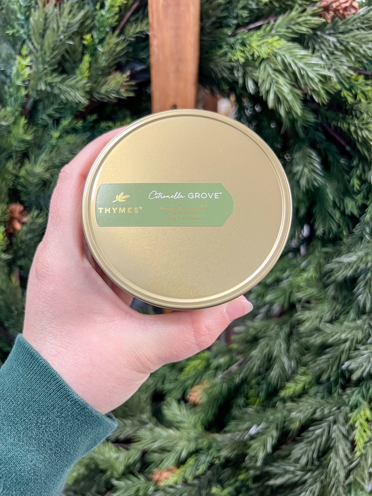 Citronella Grove Poured Candle Tin