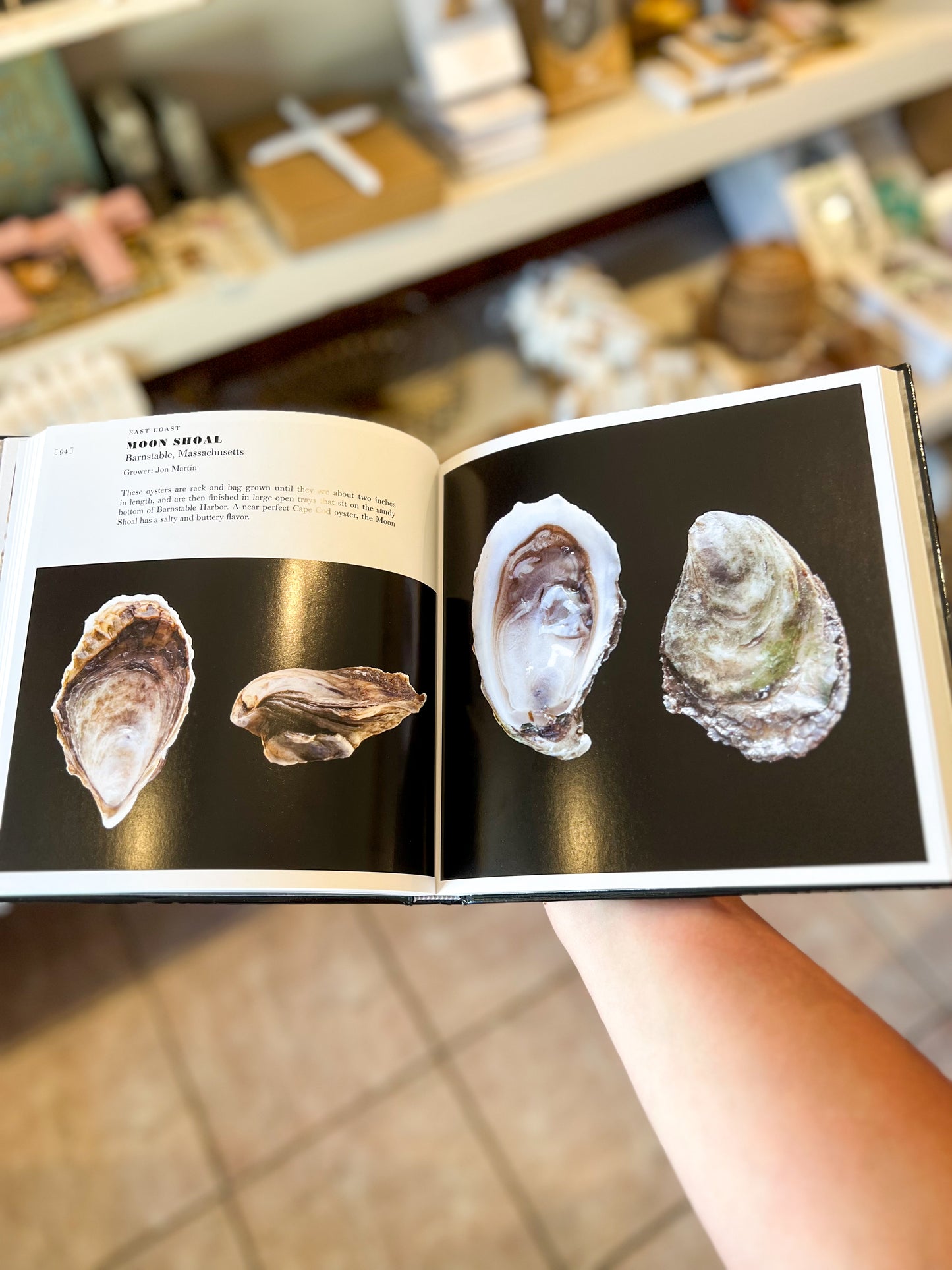 Oysters Book