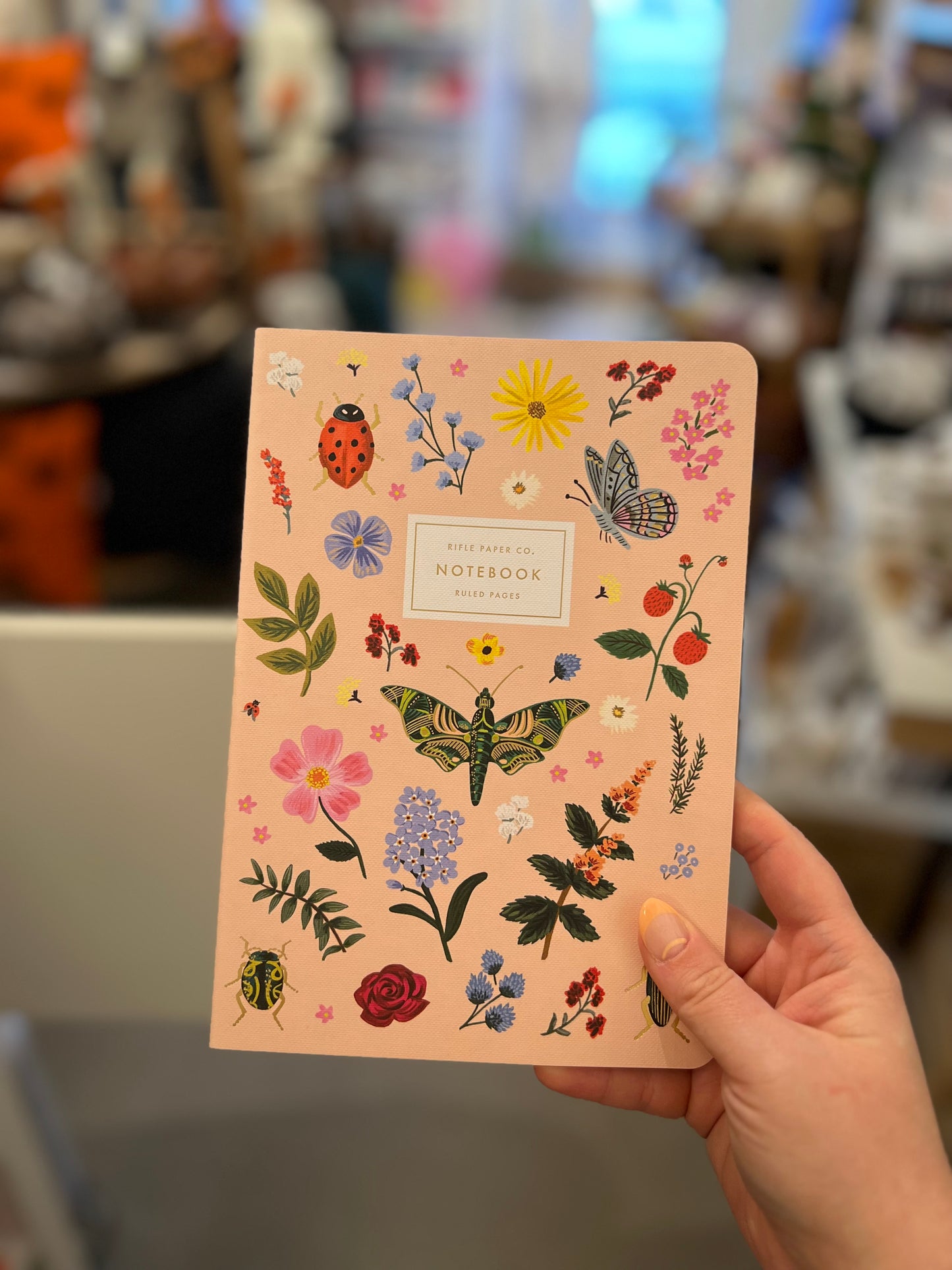 Curio Notebook