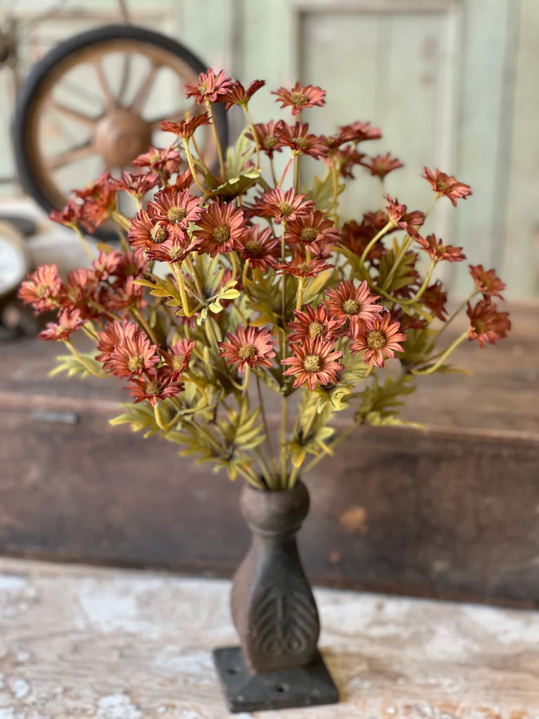 Ashdale Daisy Bush | 16" Rusty