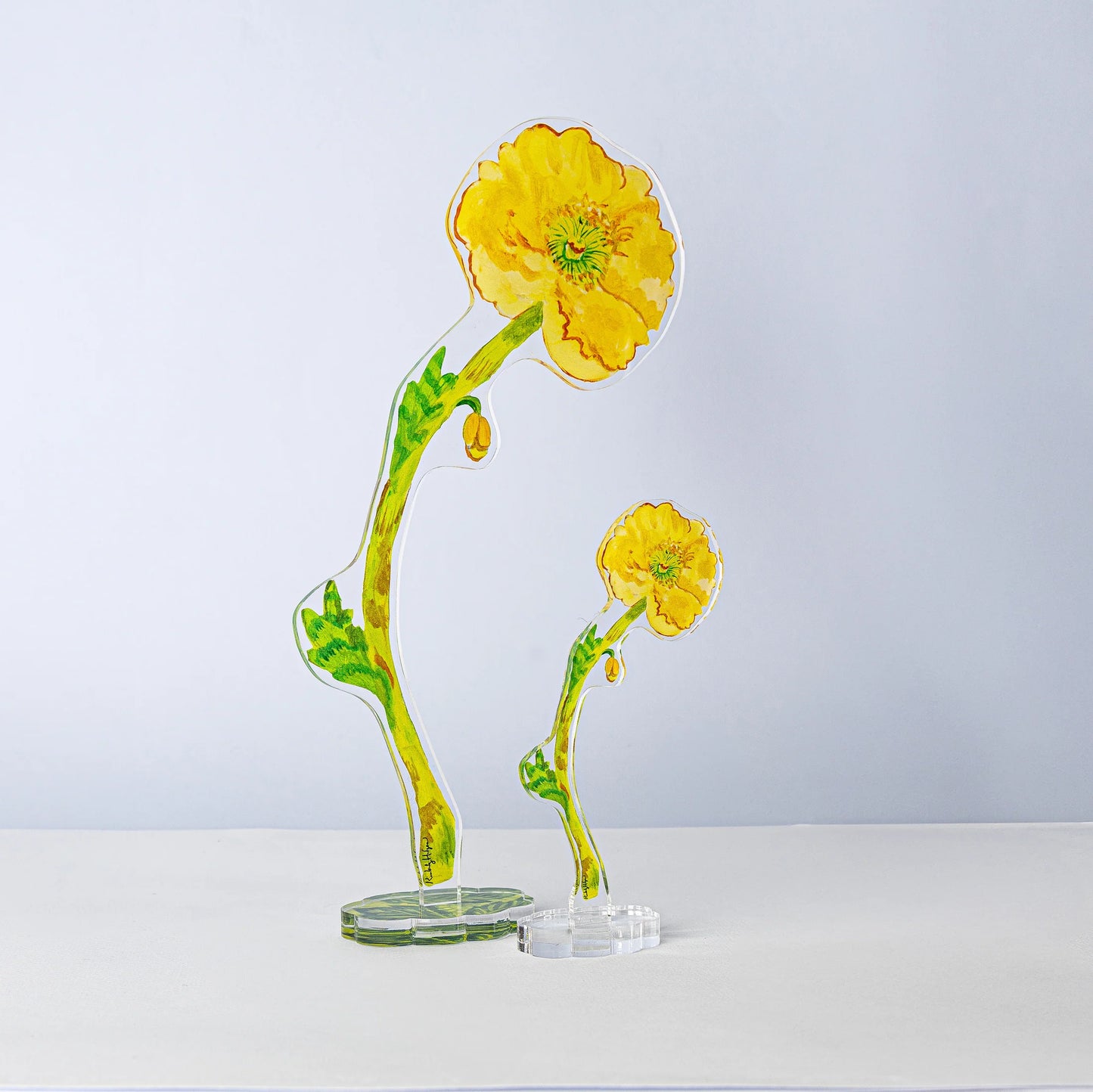 Pale Yellow Iceland Poppy