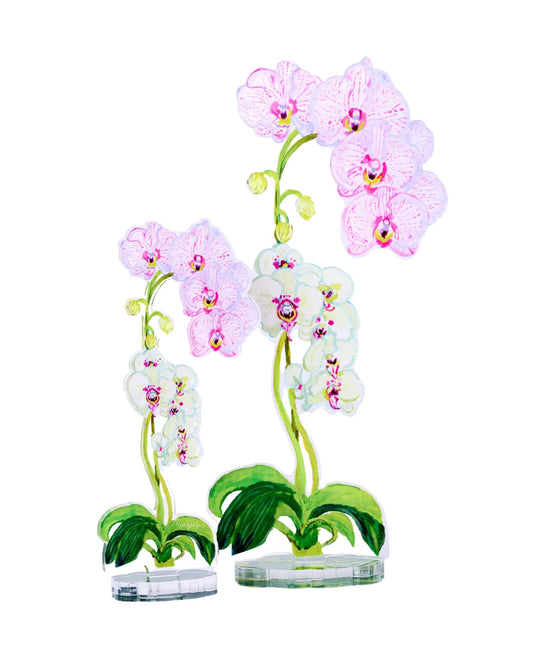 Pink Stripe Orchid Acrylic Floral