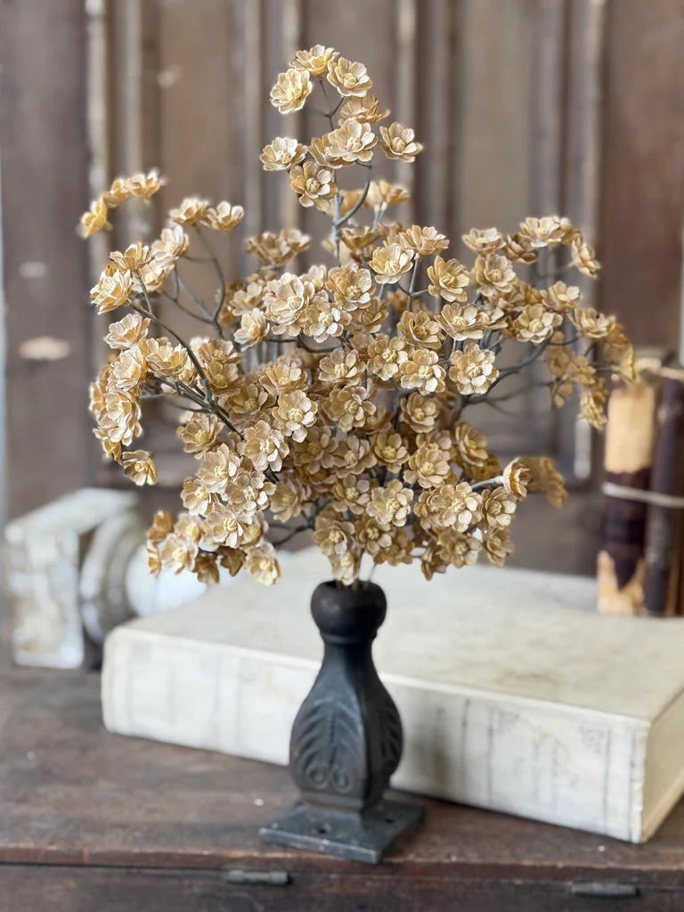 Flaxen Floret Bush