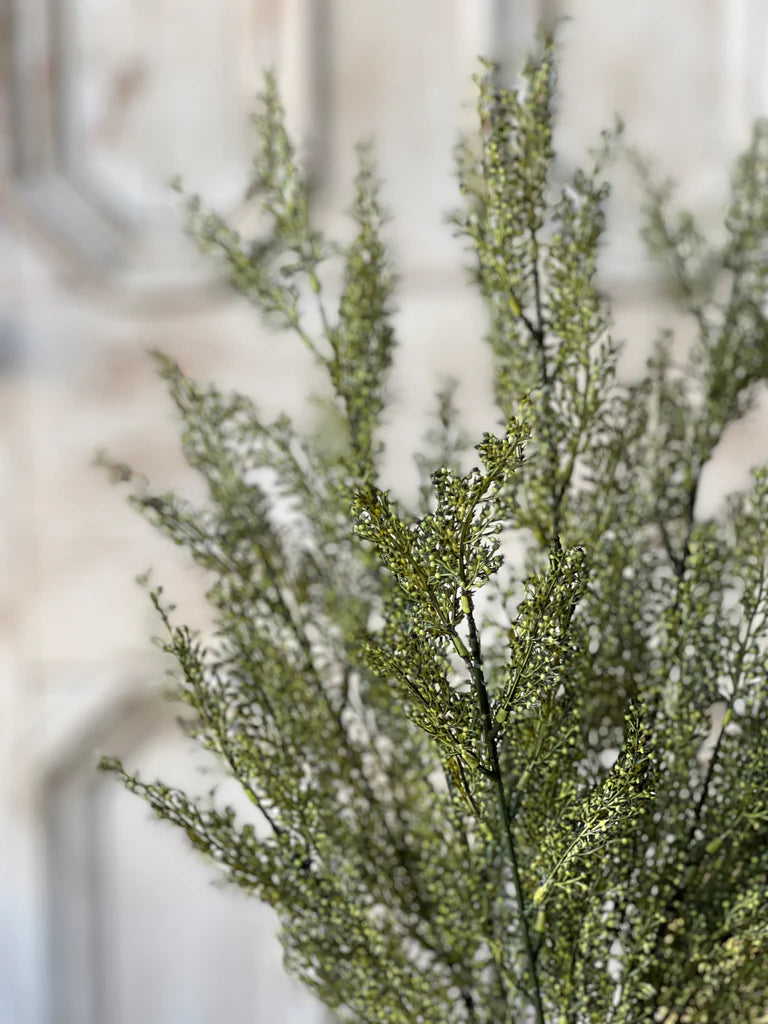 Whickham Wheat Bush | 19" Moss